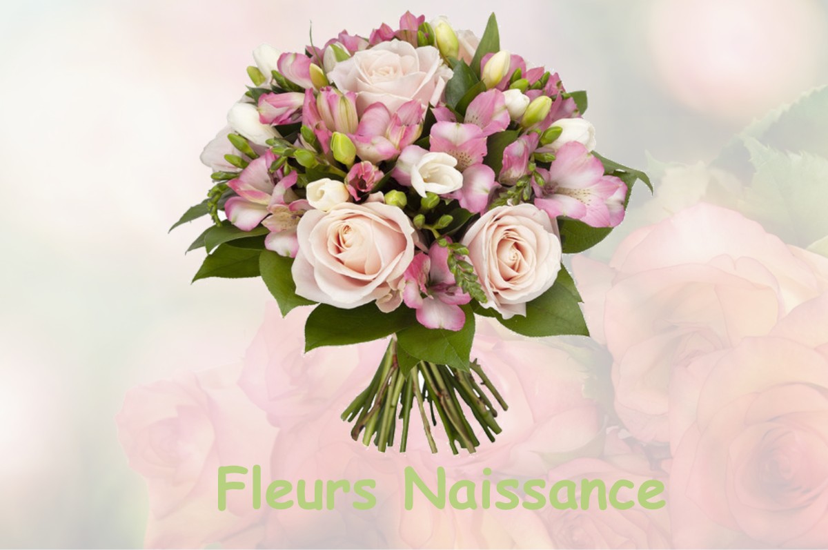 fleurs naissance BELBERAUD