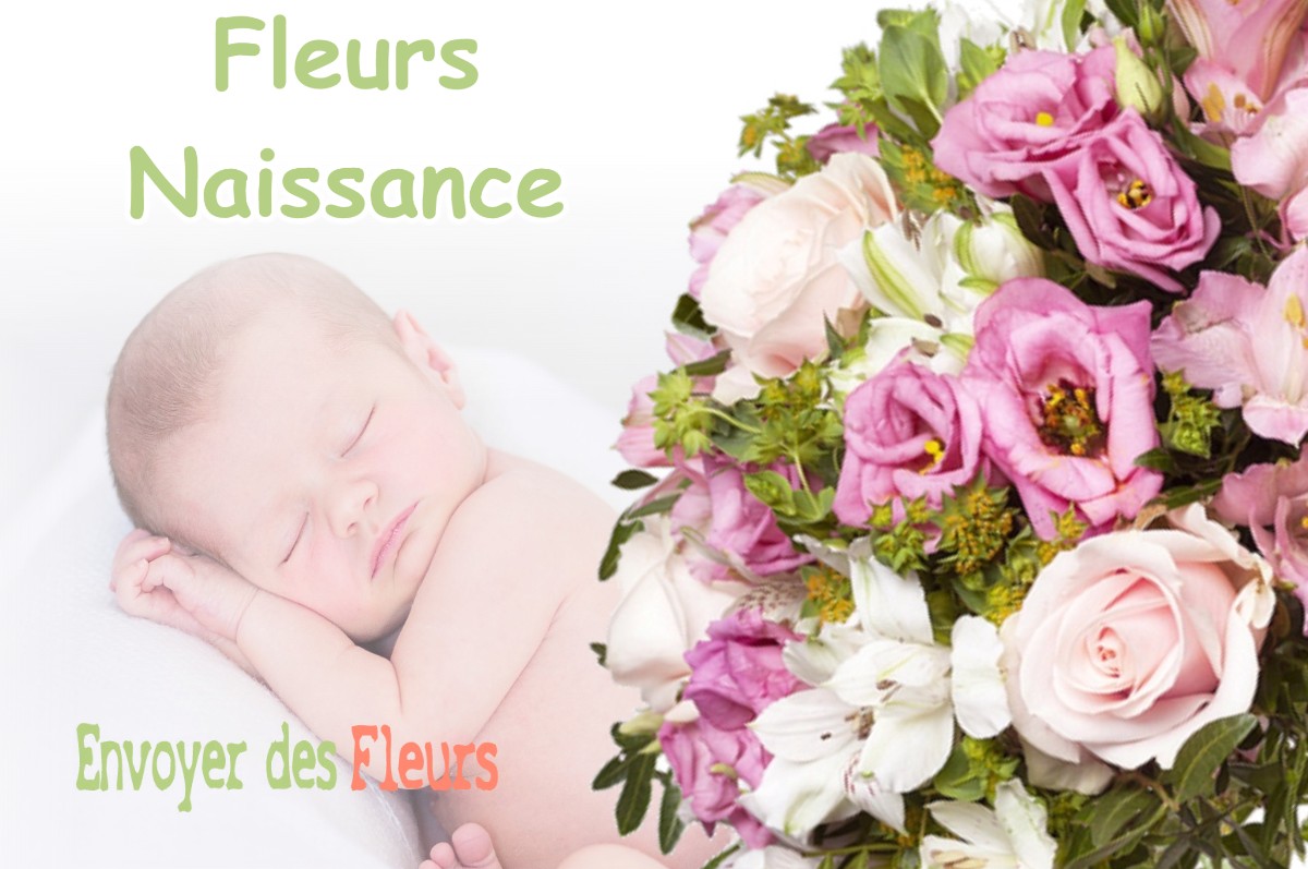 lIVRAISON FLEURS NAISSANCE à BELBERAUD